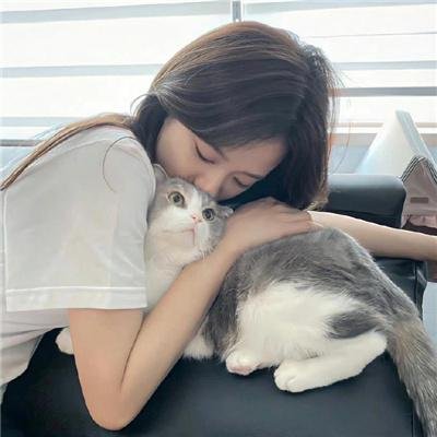 好或坏的东载