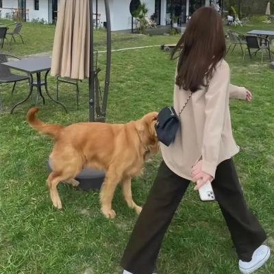 致命追捕